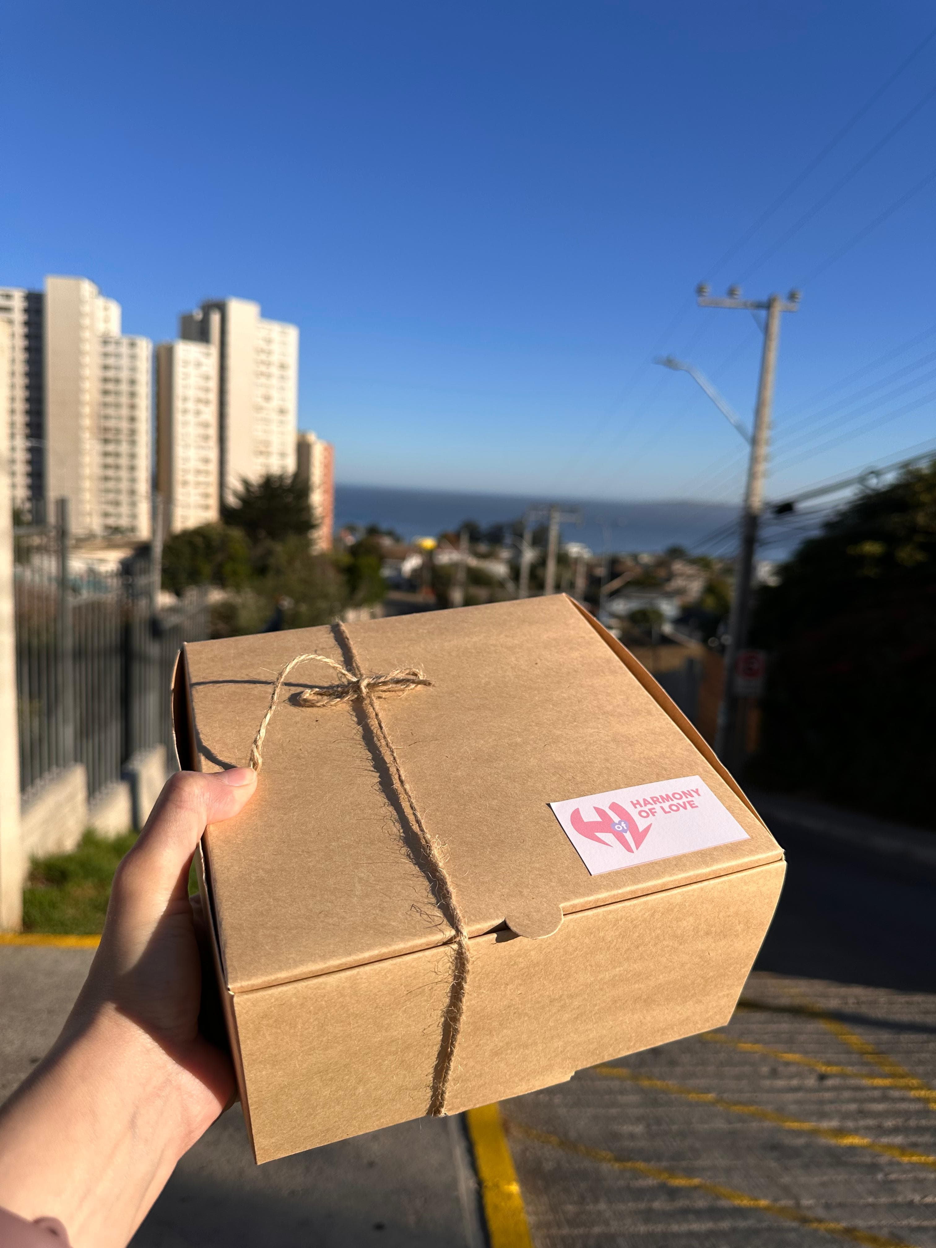 Desayuno personalizado Región de Valparaíso a domicilio